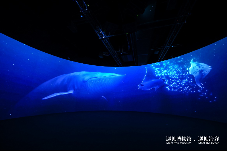 “遇见海洋：沉浸式奇幻光影展”全球首展登陆北京，数字科技唤醒深蓝奇境